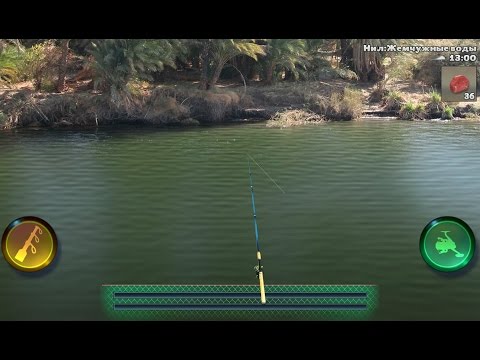 Видео: World of Fishers онлайн рыбалка