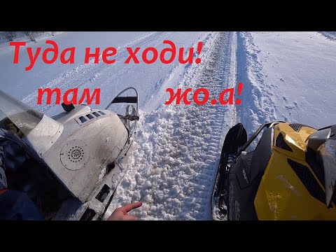 Видео: Skandic  WT в деле или на что способен Канадский  добрый утиль!