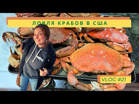 Видео: Vlog #21 Ловля крабов в США