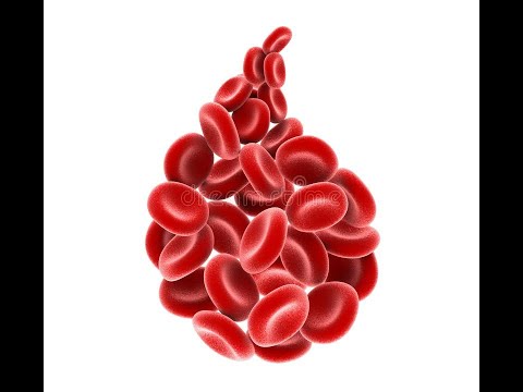 Видео: Сестринская помощь при анемиях.  Черенцова И. А.