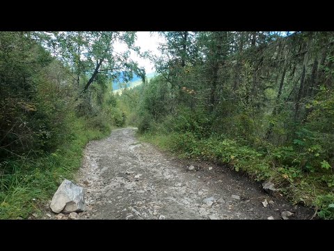 Видео: Велопутешествие на Алтай. День 14. Ороктойский перевал. Часть 2