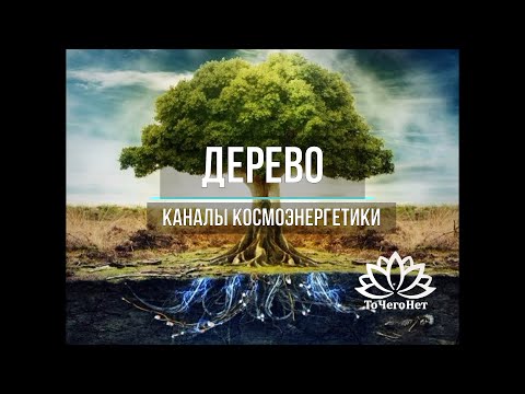 Видео: Дерево (блок Синтез) || Теория и практика || Работа с Родом || Школа "ТоЧегоНет"