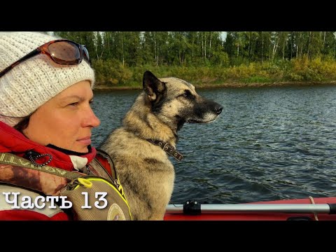 Видео: Встреча с медведем на реке | Ночуем в избе | Путешествие о котором мечтает каждый рыбак (ч.13)