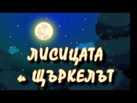 Видео: ЛИСИЦАТА и ЩЪРКЕЛЪТ