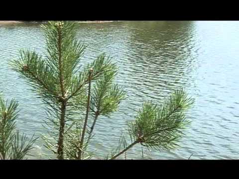 Видео: озеро Тугар-Салган