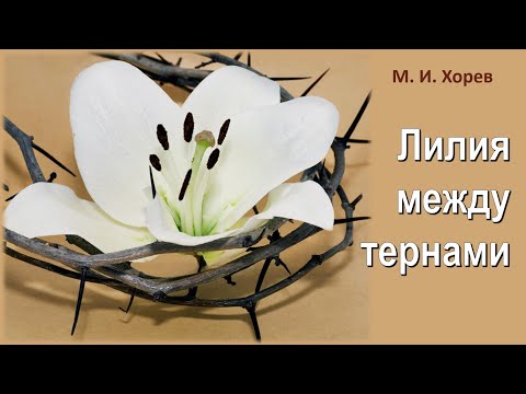 Видео: Лилия между тернами \\ Хорев М.И.