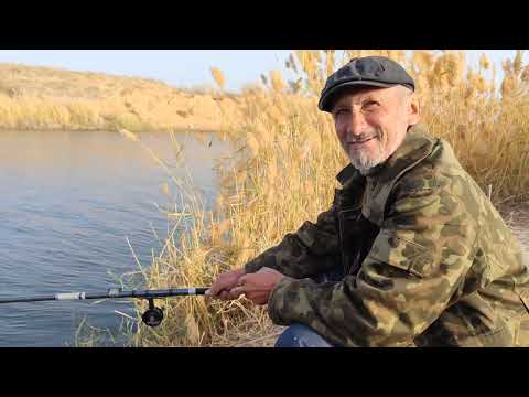 Видео: Арнасай. Золотой мост. 16.11.2023г.