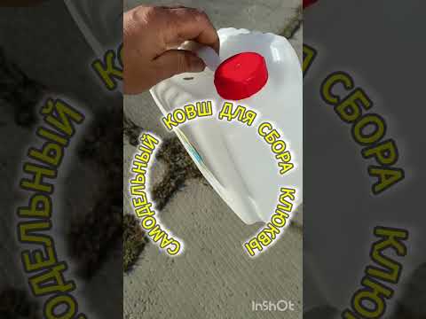Видео: Ковш для сбора клюквы