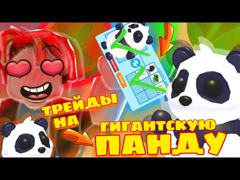 Видео: 🐼 ТРЕЙДЫ НА ГИГАНТСКУЮ ПАНДУ В АДОПТ МИ ❕ ПОЛУЧИЛ ФРОСТ ДРАКОНА 😲