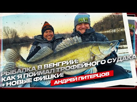 Видео: Венгрия: Рыбалка мечты! Трофейный судак и неожиданные открытия