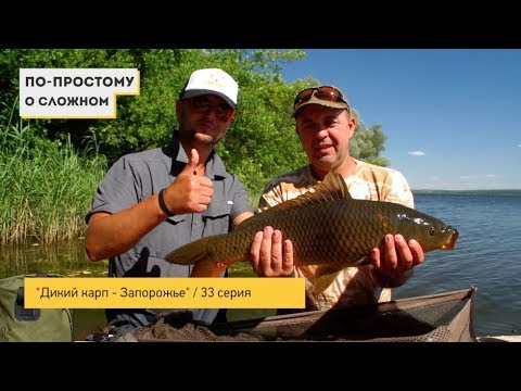 Видео: "Дикий карп - Запорожье" \ "По простому о сложном" - 33 серия 2 часть.