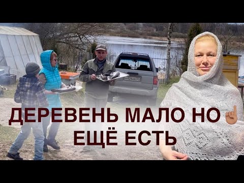 Видео: ЭХ ДЕРЕВНЯ! Отголоски ОТПУСКА...