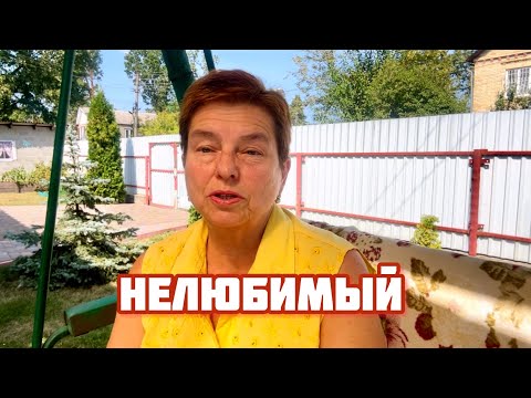 Видео: ИДЕАЛЬНЫЙ БРАК.
