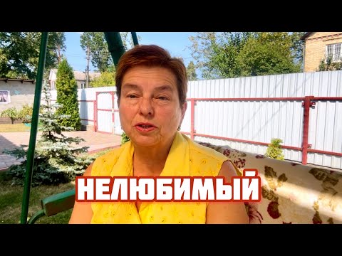 Видео: ИДЕАЛЬНЫЙ БРАК.