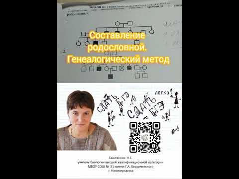 Видео: 6. Составление родословной. 10-11 класс + Курс СдатьЕГЭлегко. Баштанник Н.Е.