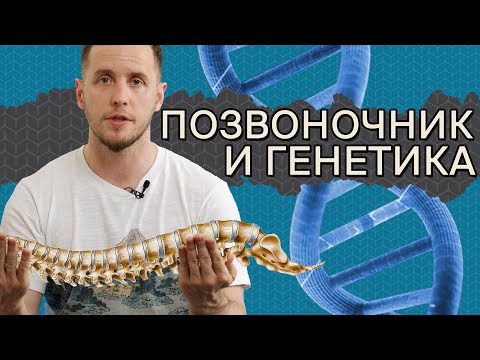 Видео: Плохие гены? НИЧЕГО СТРАШНОГО! | Как работает ГЕНЕТИКА ПОЗВОНОЧНИКА