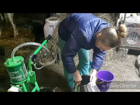 Видео: КАК ПРАВИЛЬНО ВЫМЫТЬ ДОИЛЬНЫЙ АППАРАТ!