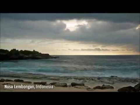 Видео: Декларация о принятии реальности