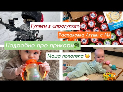 Видео: Подробно про наш прикорм 🥦 | Маша ползает 👏🏼