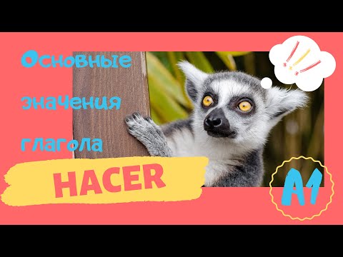 Видео: Основные значения глагола HACER