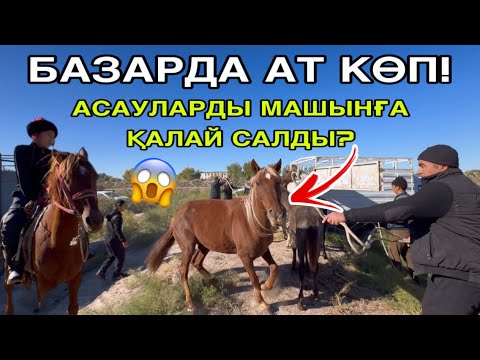 Видео: АСАУЛАР ШАТАҚ ШЫҒАРДЫ! 5-ОКТЯБР ШЫМБАЙ АТ БАЗАРЫ БАХАЛАРЫ ӨЗГЕРДИ