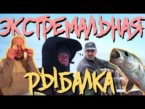 Видео: БОЛЬШАЯ Зимняя Рыбалка: Готовим УХУ из ОКУНЯ, Тестируем ЗИМНЮЮ ПАЛАТКУ