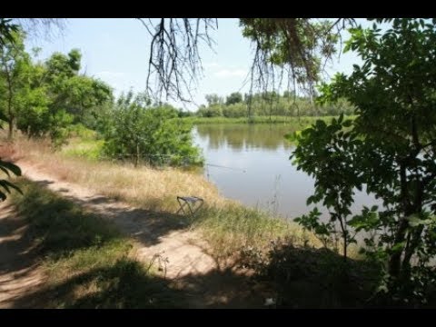 Видео: Отпуск, проведенный нами на реке Ашулук недалеко от Харабалей.