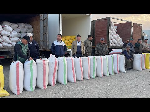 Видео: ХОРАЗМ ОПТОМ ГУРУЧ БОЗОРИ 7-ОКТЯБР ЭРТАЛАБГИ САВДОЛАР ЯНГИ НАРХЛАР !!! ХОРАЗМ БОЗОР
