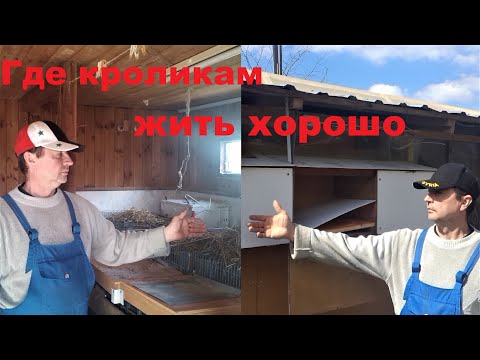 Видео: ГДЕ КРОЛЬЧАТАМ ЖИТЬ ХОРОШО ЛИЧНЫЙ ОПЫТ содержания кроликов