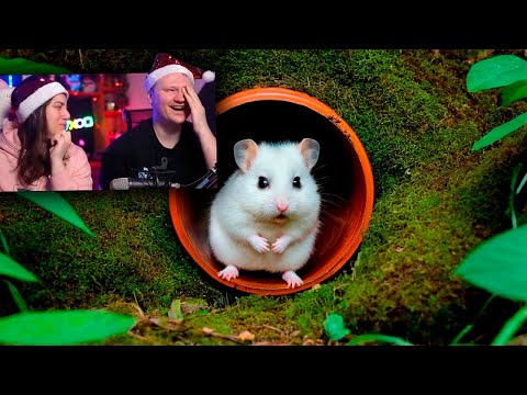 Видео: ДЕТЕНЫШИ СТЕПЫ ПОПАЛИ В ПОДЗЕМНЫЙ ХОМЯКАРИУМ | РЕАКЦИЯ на SlivkiShow