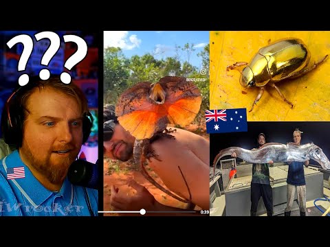 Видео: Эти вещи в Австралии просто не поддаются логике.