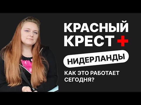 Видео: Подалась в Красный Крест в Нидерландах. Как это работает сейчас?| Интервью