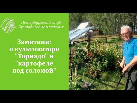 Видео: Замяткин: о культиваторе "Торнадо" и "картофеле под соломой"