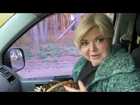 Видео: Мы уже опоздали,наверное все грибы собраны! Когда приехал сюда был в шоке,забыл как люди живут!
