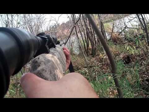 Видео: Охота с пневматикой(Gamo Big Cat CF)