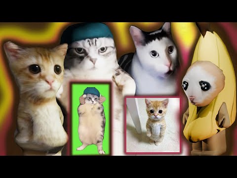 Видео: МЕМНЫЕ КОТЫ ПОБЕЖДАЮТ ВСЕХ В ММ2🙀