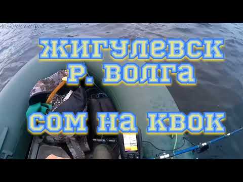 Видео: На квок : сом "с прицепом". Волга.