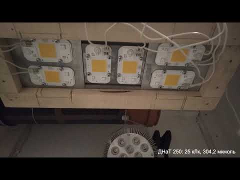Видео: Часть 2 (практика). Сравнение ДНаТ 250W с бездрайверными китайскими матрицами ( 50Вт, 220В)