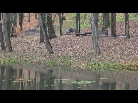 Видео: река ВИТЬБА - ВИТЕБСК