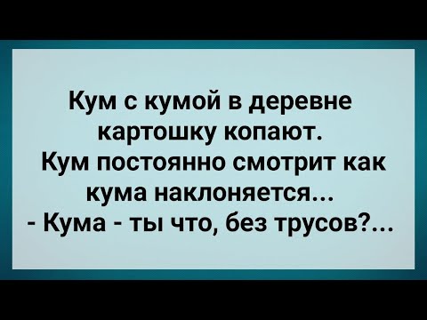 Видео: Кум с Кумой Картошку Копают! Сборник Свежих Анекдотов! Юмор!.