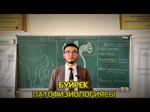 Видео: БҮЙРЕК ПАТОФИЗИОЛОГИЯСЫ | 1- БӨЛІМ | ЖАЛПЫ БҰЗЫЛЫСТАР