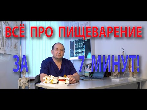 Видео: Как переварить еду?!