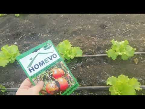 Видео: Homevo – натурална грижа за здрави растения и богата реколта 🌿