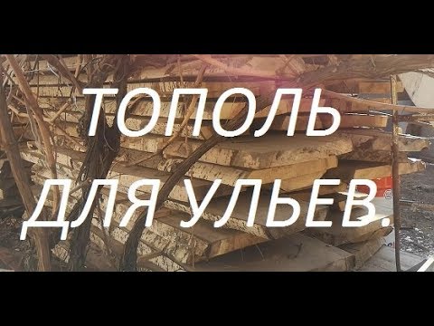 Видео: Материал для ульев - тополь.