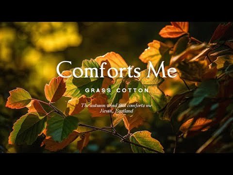 Видео: Осенний ветер, который меня успокаивает l GRASS COTTON+