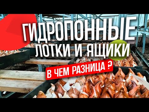 Видео: Лотки для гидропоники. Ящики для гидропоники. В чем разница?