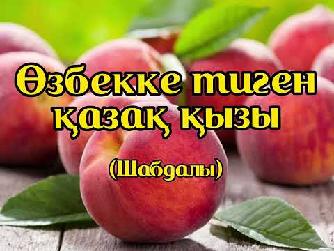 Видео: ШАБДАЛЫ | ӨЗБЕККЕ ТИГЕН ҚАЗАҚ ҚЫЗЫ | АЛМАС АЛМАТОВ | АУДИОКІТАП