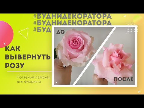 Видео: Как вывернуть розу / Практический мастер класс для флориста