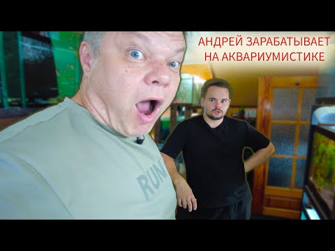 Видео: Андрей зарабатывает на аквариумистике