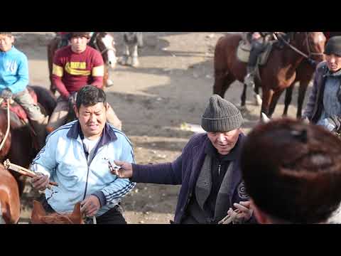 Видео: Жанибек палвандын небересине Берген улагы Улак Кулатов 2022.